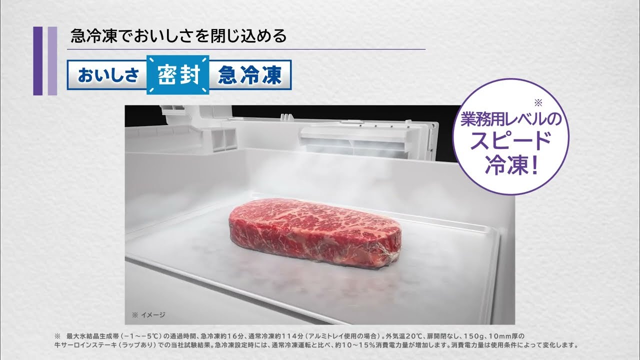 VEGETA Refrigerator Freezer (Quick Freezing & Cooling) | Toshiba