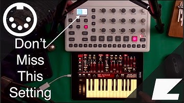 Fully Control Any Synth With Model Samples / Cycles