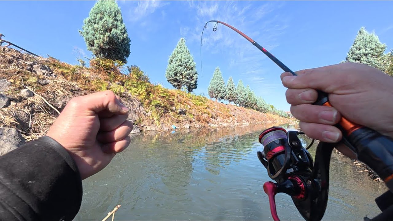 TATLI SU KEFALİ AVI | Beklenmedik anda gelen Dev balık...