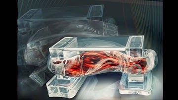 3D printed hydrogel bio bots powered by muscle cells and controlled with electrical pulses