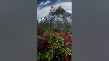 القارئ:سليمان جمال #سورة_الشورى #شفاء_الصدور #تلاوات_خاشعة