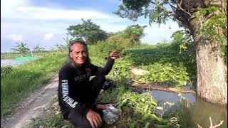 Download lagu Flood,,,catfish everywhere