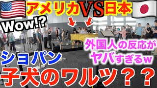 【アメリカ人VS日本人】ありえない子犬のワルツ弾いたら外国人が一瞬でとんでもないことにww【都庁ピアノ/ストリートピアノ/ショパン/ジェイコブ・コーラー×ヒビキpiano/Pianobros/ジャズ】
