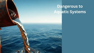 The Hidden Dangers of Mercury in Our Waters