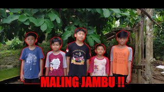 Maling Jambu 