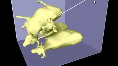 A Versatile and Robust Model for Geometrically Complex Deformable Solids (CGI 2004) [Cows]