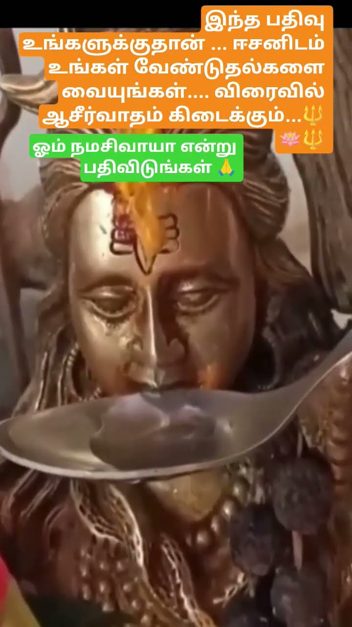 🌻🌻காலை வணக்கம்🌻🌻 - ShareChat