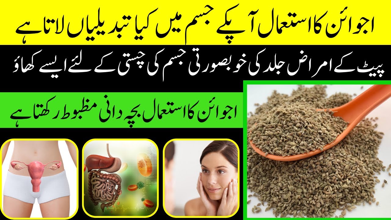 ajwain ke fayde carom seeds benefits by herbican YouTube