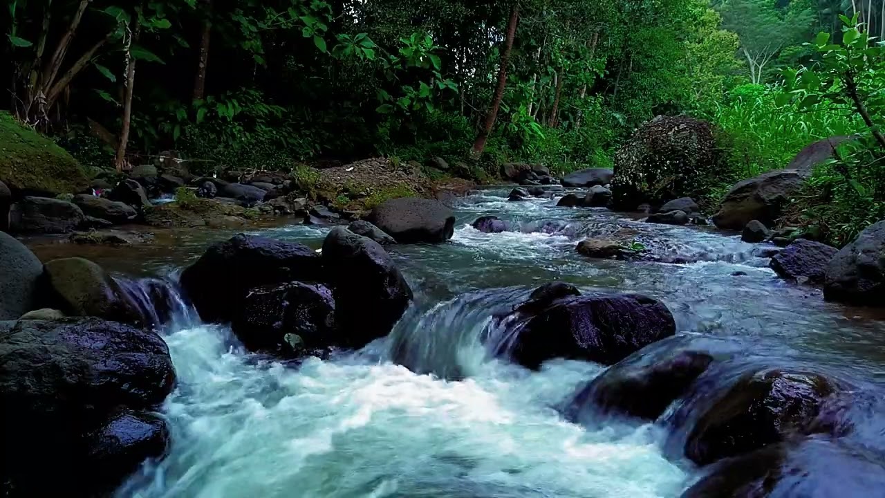 Sweet Dreaming with River Ambience, Enhance Your Dreamscapes | ASMR