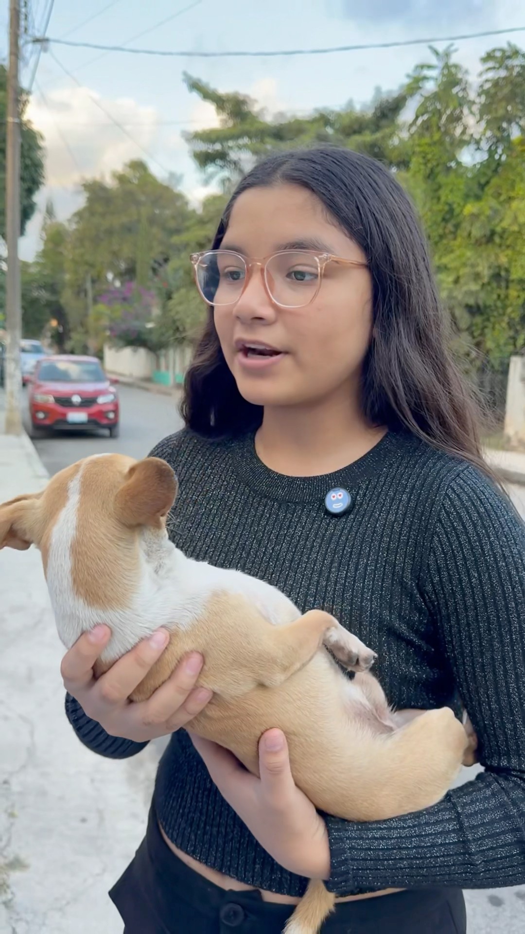 LA SEÑORITA VETERINARIA CUIDA A MI PERRITO ?