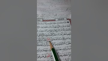 أسئلة إجازة لرواية حفص من سورة النَّمل صفحة ٣٨٢
