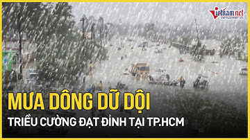 TP HCM: Mưa dông dữ dội, triều cường đạt đỉnh quật đổ loạt cây, nhiều tuyến phố tê liệt vì ngập sâu