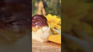 Does snails eat peaches? #snail #animal #beautyofnature #snailshell #snaillovers #naturepictures