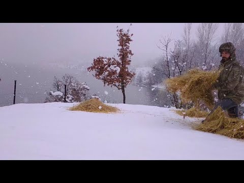 Issız ve karlı bir gün❄️Köyden 2 km yüksekte zorlu yaşam❄️Köy belgeseli#villagelife#snowfall#snow