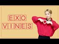 EXO vines that make my day