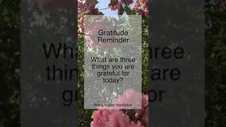 Daily Gratitude | What are three things you are grateful for today? | Gratitude | Shorts