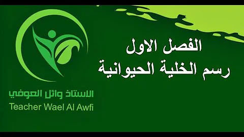 الخلية الحيوانية رسم Mp3