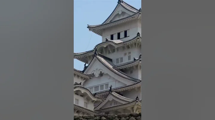 Most Beautiful Castle in Japan! #shorts #castle #short #shorts #shortvideo #shortsvideo #shortsfeed - DayDayNews