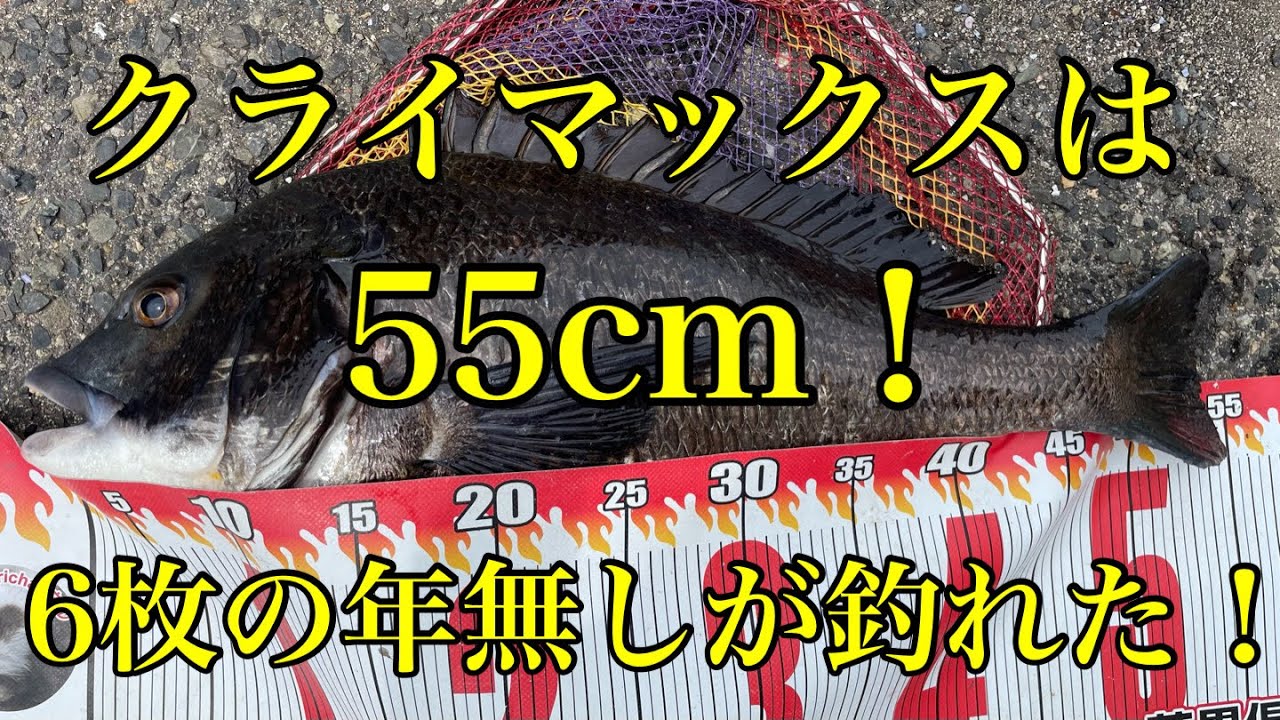 落とし込み　チヌ　黒鯛 1-1 3日間の割引、もう値引き交渉は不要 落とし込み チヌ 黒鯛1-3 割引、もう値引き交渉は不要 - メルカリ