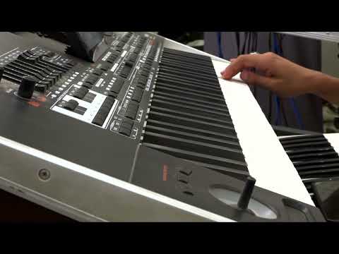 محمد نغم يلعبك ابليس حفلة بيشه 