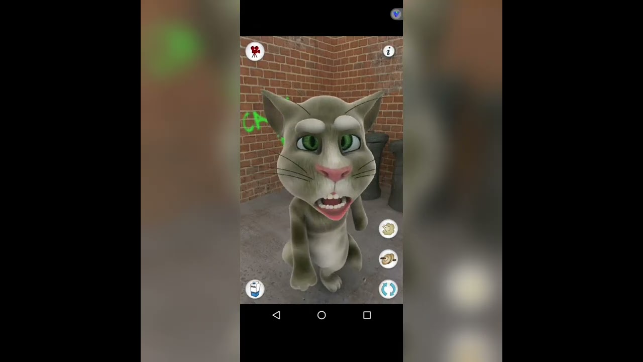 Talking Tom Cat Pro Versions 2010-2013