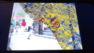 Elmo’s World School Footages 2006 DVD