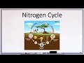 Cycles of Matter in Nature: Water, Carbon, and Nitrogen