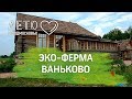 Лето в Подмосковье: агротуризм и экологические продукты в Ваньково
