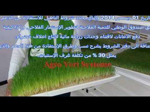 نسبة وكيفية الاستفادة من دعم غرف الشعير مستنبت في الجزائر