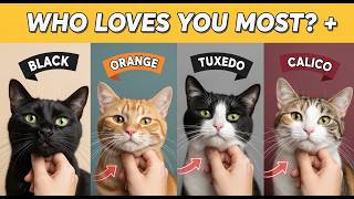 Why You’ve Been Choosing the Wrong Cat Color for Years 😱🐱