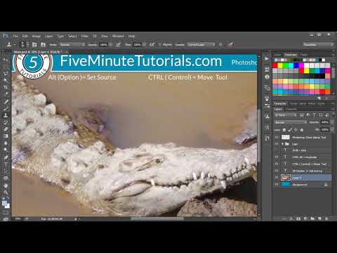 Photoshop Clone Stamp Tool Tutorial Photoshop Clone Stamp Tool Tutorial