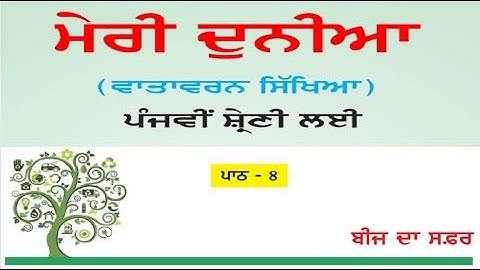 ਮੇਰੀ ਦੁਨੀਆ (ਵਾਤਾਵਰਨ ਸਿੱਖਿਆ) ਪੰਜਵੀਂ ਸ਼੍ਰੇਣੀ I  ਜਮਾਤ 5 I ਪਾਠ 8 - ਬੀਜ ਦਾ ਸਫਰ I ਪ੍ਰਸ਼ਨ ਅਤੇ ਉੱਤਰ
