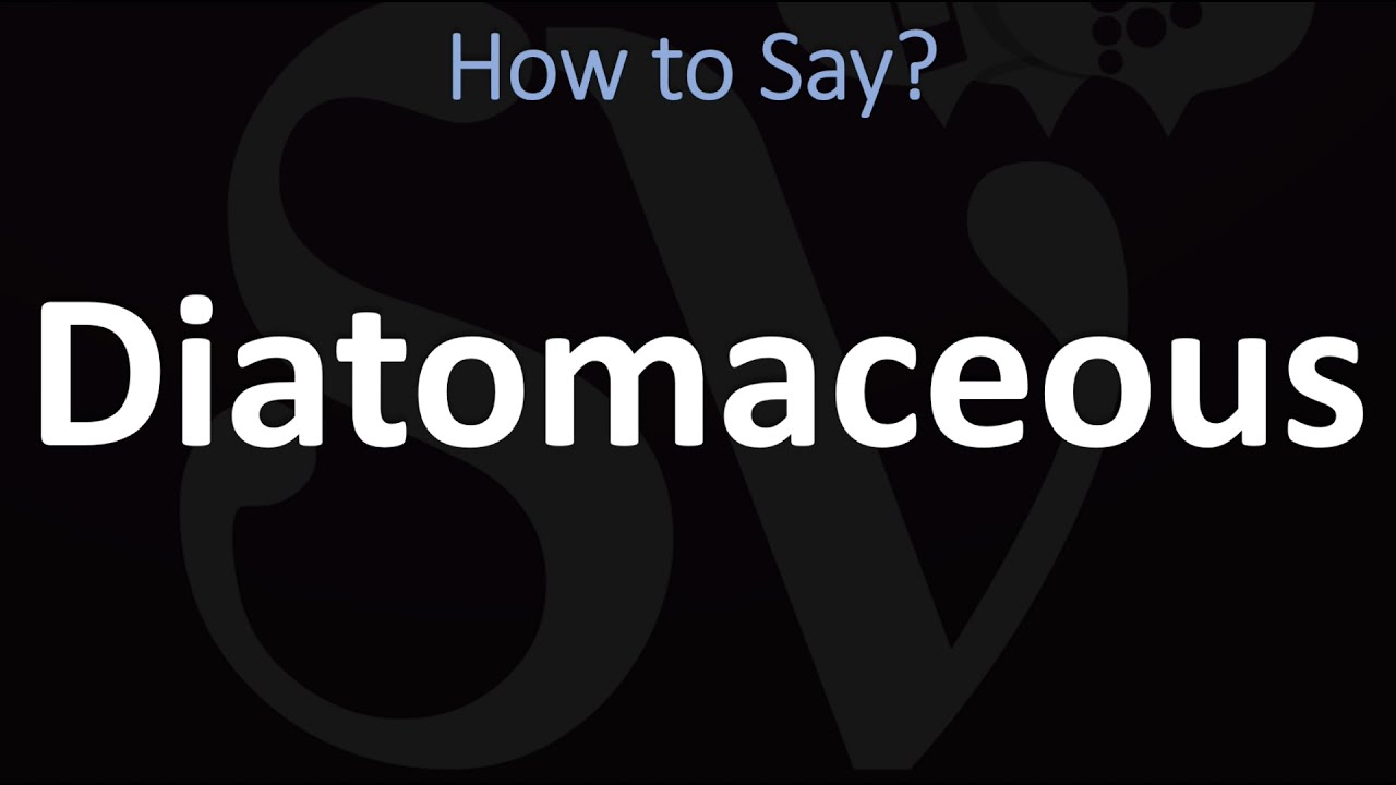 How To Pronounce Diatomaceous? (Correctly)