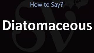 How to Pronounce Diatomaceous? (CORRECTLY) screenshot 2