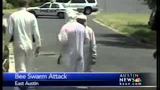 Elderly man stung 500+ times by bees - 6 pm News