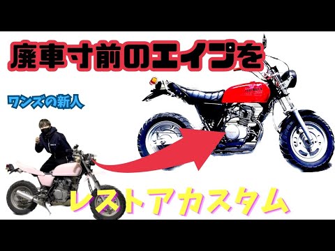 エイプ用外装　ハネタイプになります。 楽天市場】エイプ50用ハネタイプ テールカウル！新品【国内