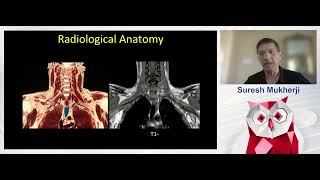 Brachial Plexus Workshop ESOR 2025