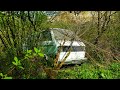 1981 ABANDONED VolksWagen T25 | Saved from THE Woods