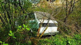 1981 ABANDONED VolksWagen T25 | Saved from THE Woods