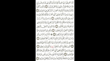 سورة البقرة بصوت صلاح الهاشم