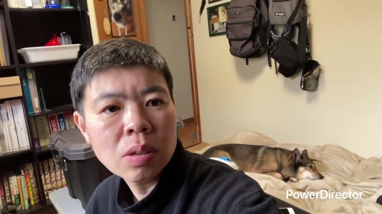 2026.2.26.統合失調症,FTM,ミックス中型犬ラッキー,