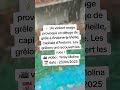 Ref:WWj4HcH09fg   un violent orage provoque un dluge de grle  andorre-la-vieille  date : 23/06/2025