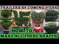 How to plant cutting shaping and designingeasy way to give beautiful shap