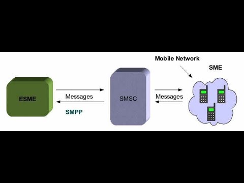 SMPP SMSC & SMS. BIND UNBIND REQUEST RESPONSE IN DEPTH WITH PDU Descriptions. ESME client programmin