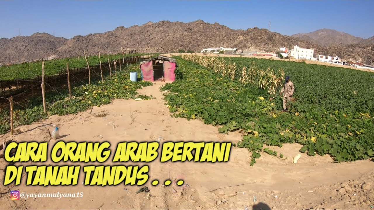 PERKAMPUNGAN TERPENCIL DI MEKKAH YG SUBUR