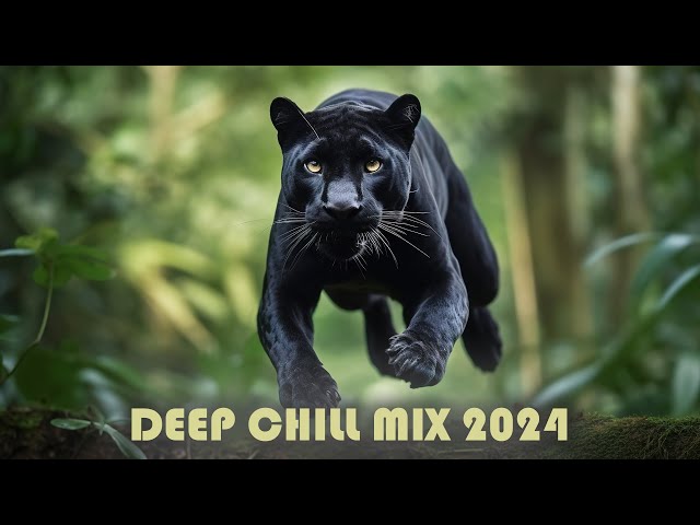XxX - Deep Chill Mix 2024 π΄ Dj Goja π΄ Suleymer π΄ #001 XxX - Deep Chill Mix 2024 π΄ Dj Goja π΄ Suleymer π΄ #001
