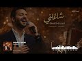 Omar Al Shami Shaghelni Egyptian Pop 2026 عمر الشامي شاغلني 