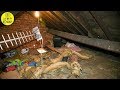 Woman Finds Ex Living In Her Attic, 12 Years After Their Breakup