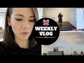 Dummes missgeschick  novemberblues  weekly vlog 11  ankamaze