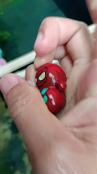 Wow.. That's Not a Betta Fish Apparently 😱 But.... That's a SUPER HERO 🤩 RED BALDS SPIDERMAN SMEL...